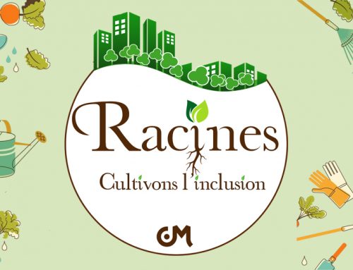 Racines – Cultivons l’inclusion